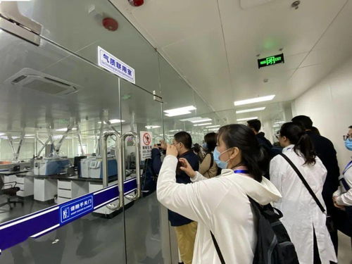 信息技術(shù)咨詢服務(wù)為落實‘六穩(wěn)六保’注入強勁動力 中國-東盟檢驗檢測認證高技術(shù)服務(wù)集聚區(qū)賦能企業(yè)騰飛