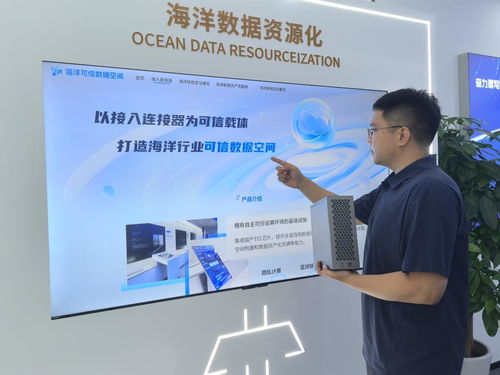 海上新山東 科技興海，信息技術咨詢服務助力蔚藍發展